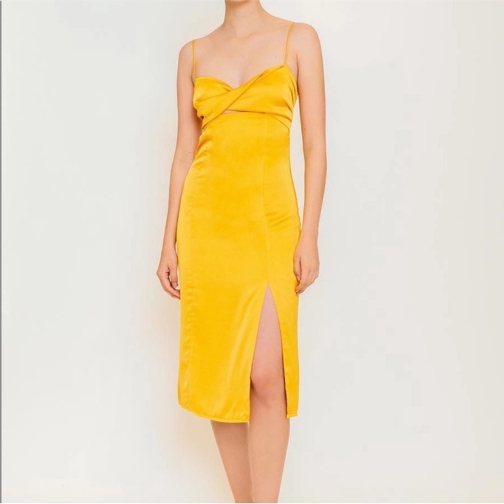 NWT❗️Azulu dress